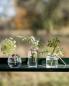 Preview: ERNST *Mini Vase*