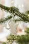 Preview: Anhänger *Engel* my nostalgic christmas