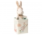 Preview: Bunny in a box *happy day* small