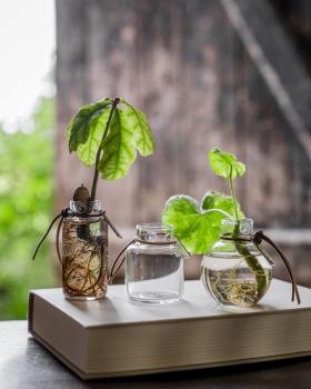 ERNST *Mini Vase*