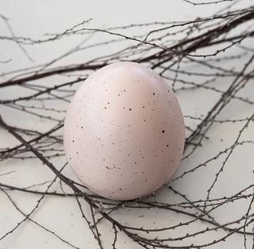 Deko Ei *UGGLARP* rose