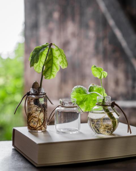 ERNST *Mini Vase*