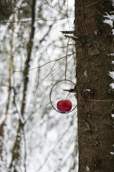 Vogelfutterring *Metall-Rost*