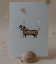 Postkarte *Dackel*